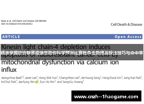 精准掌握欧协联赛程信息助你科学预测比赛胜负走势提高投注技巧与命中率